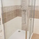 Alfa 11 *